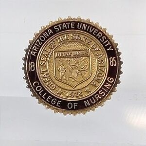 ASU Arizona State University Nursing Pin Herff Jones 10K Gold Filled VTG Signed